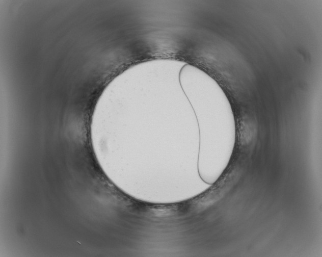 X0000112980370200908270923