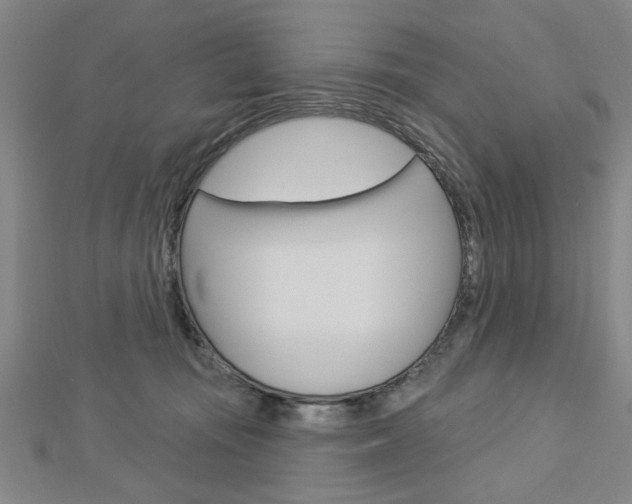 X0000112980371200908270923