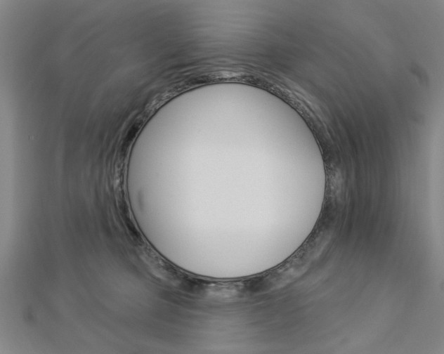 X0000112980373200908270923