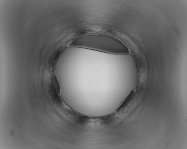 X0000112980376200908270923