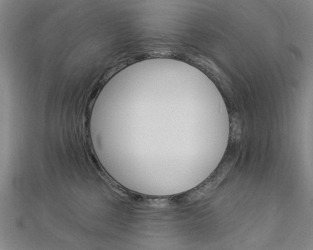 X0000112980377200908270923