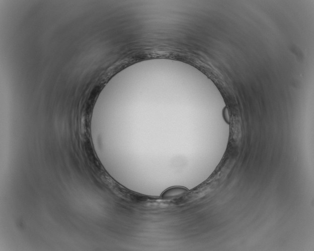 X0000112980378200908270923