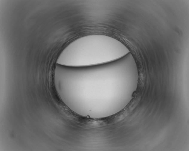 X0000112980379200908270923