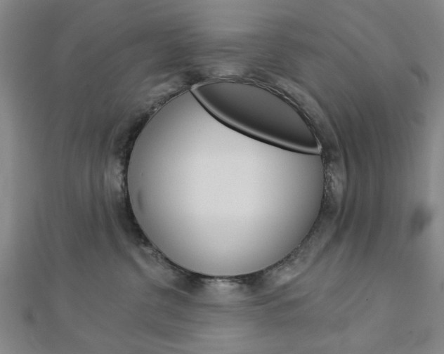 X0000112980380200908270923