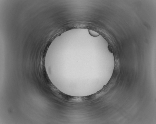 X0000112980381200908270923