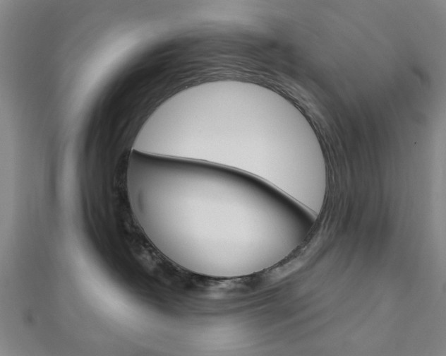 X0000112980382200908270923