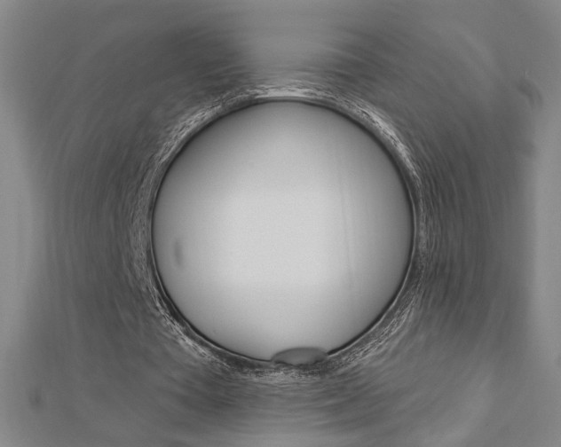 X0000112980385200908270923