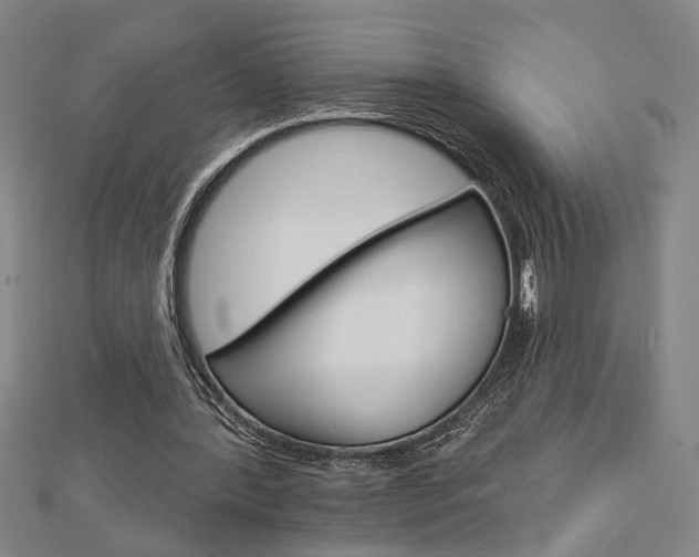 X0000112980388200908270923