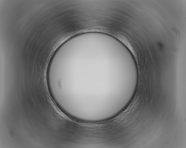 X0000112980389200908270923