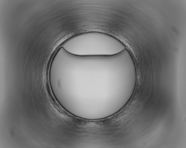 X0000112980390200908270923