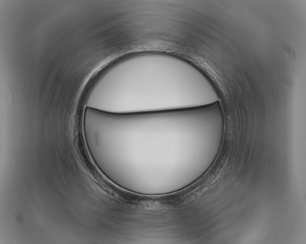 X0000112980392200908270923