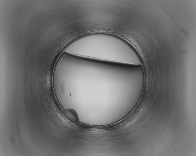 X0000112980393200908270923