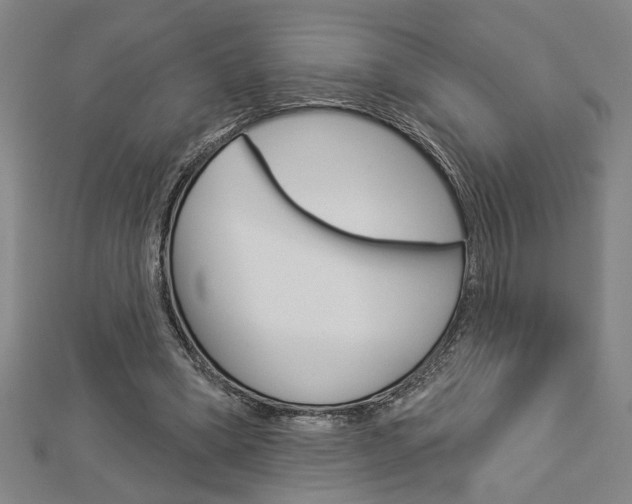 X0000112980394200908270923
