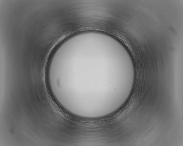 X0000112980395200908270923