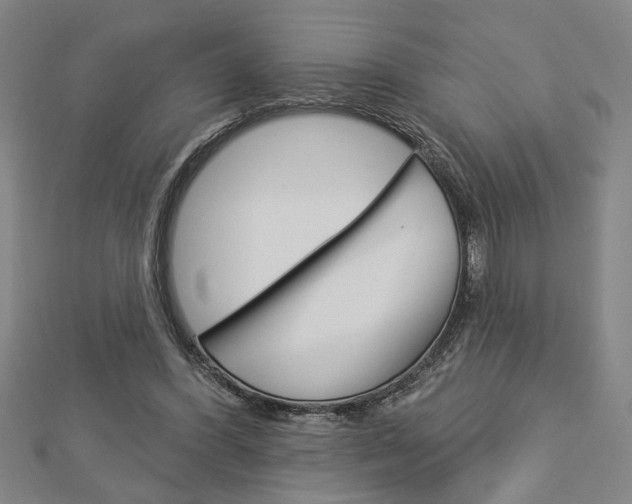 X0000112980396200908270923