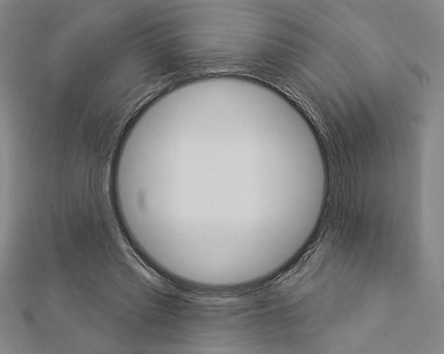X0000112980397200908270923