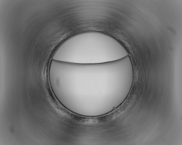 X0000112980398200908270923