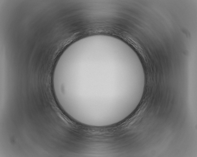 X0000112980401200908270923