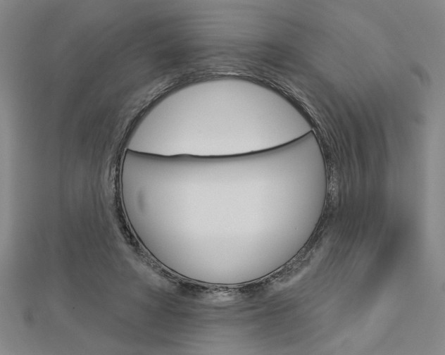 X0000112980402200908270923