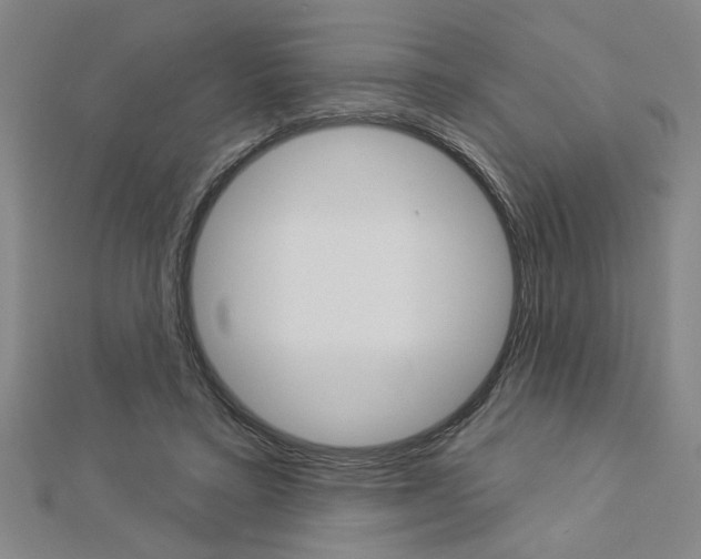 X0000112980403200908270923