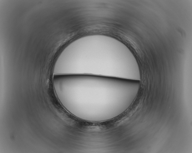 X0000112980404200908270923
