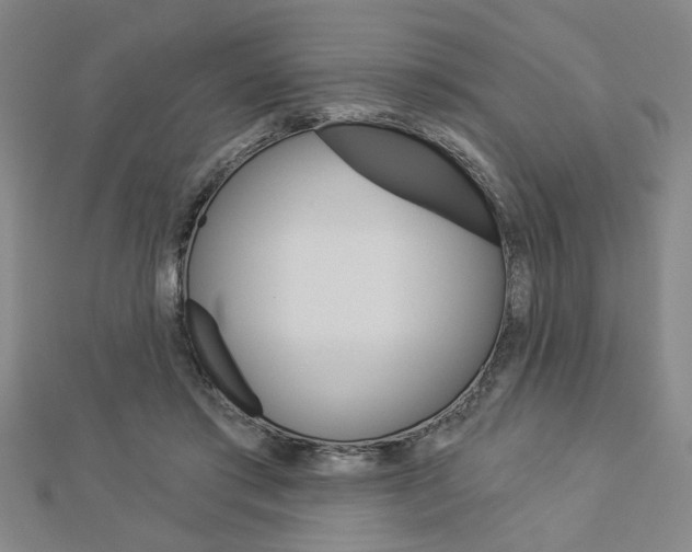 X0000112980405200908270923
