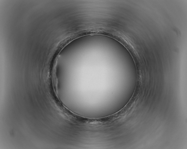 X0000112980407200908270923