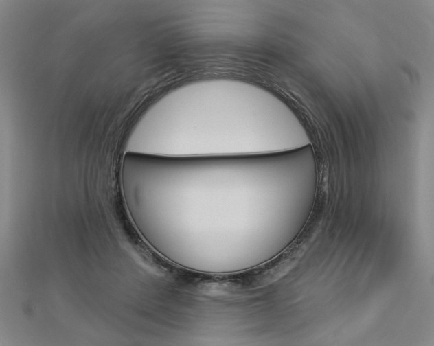 X0000112980408200908270922