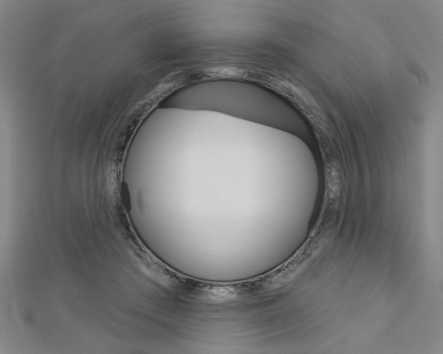 X0000112980409200908270922