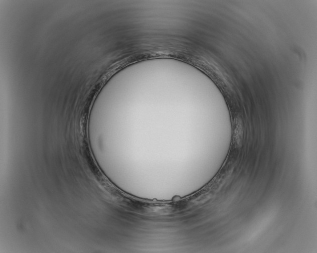 X0000112980410200908270922