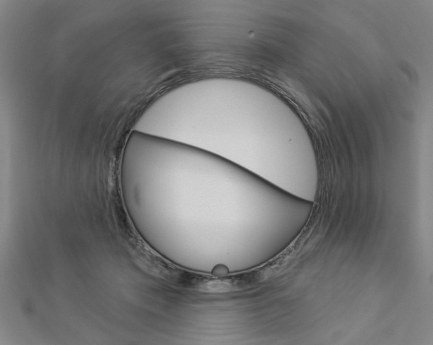X0000112980413200908270922
