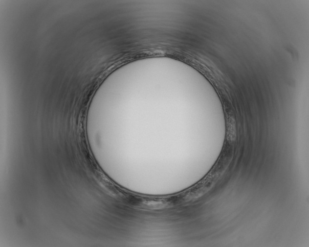 X0000112980414200908270922