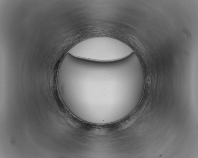 X0000112980416200908270922