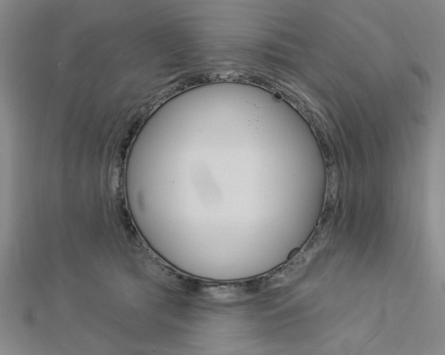 X0000112980417200908270922