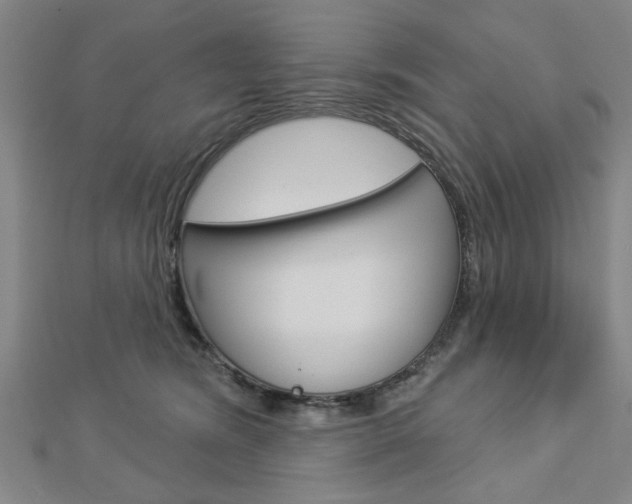 X0000112980420200908270922