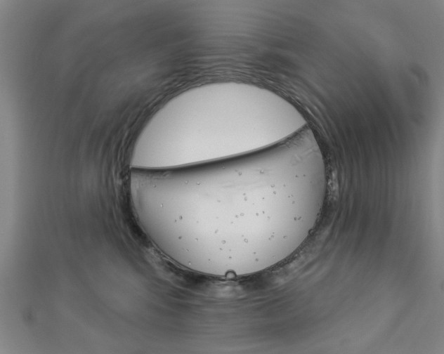 X0000112980424200908270922