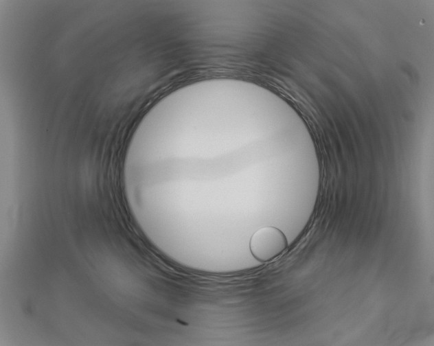 X0000112980425200908270922