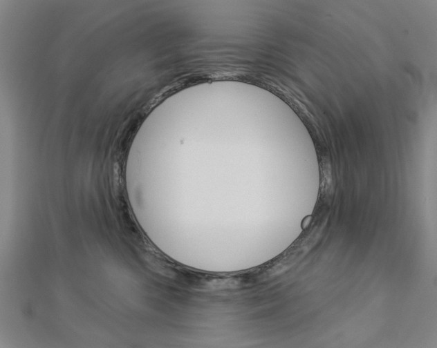 X0000112980426200908270922
