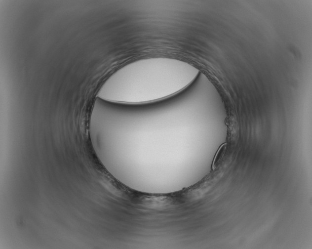 X0000112980428200908270922