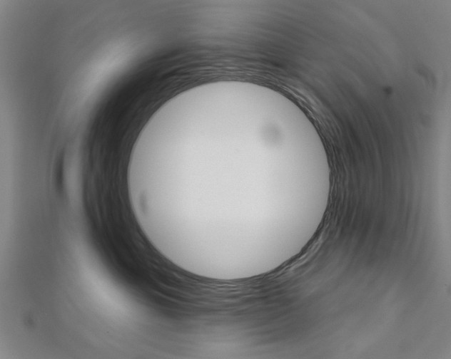 X0000112980429200908270922