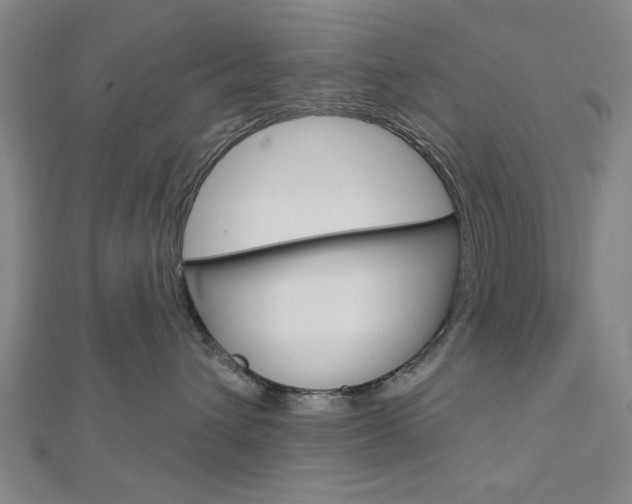 X0000112980432200908270922