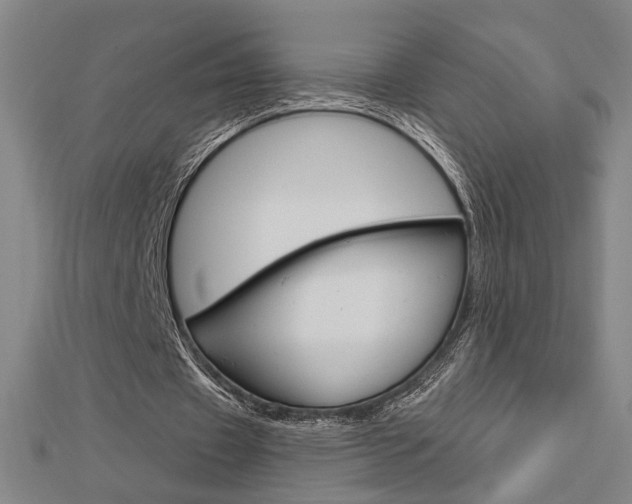 X0000112980433200908270922