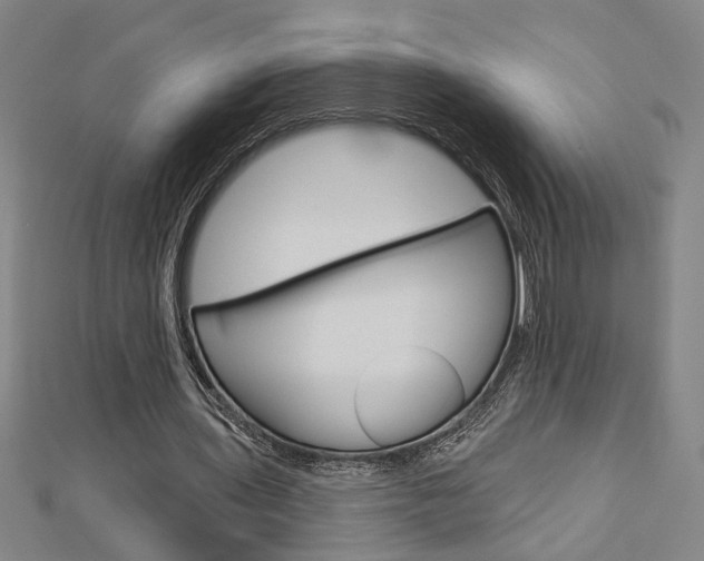 X0000112980435200908270922
