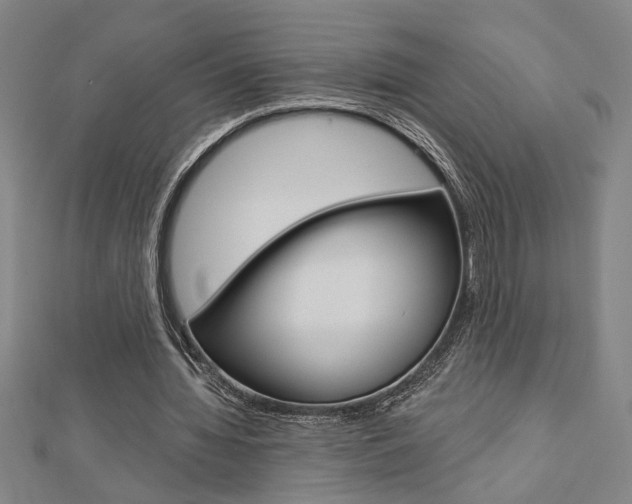 X0000112980436200908270922