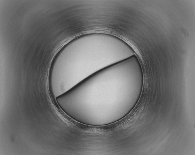 X0000112980437200908270922