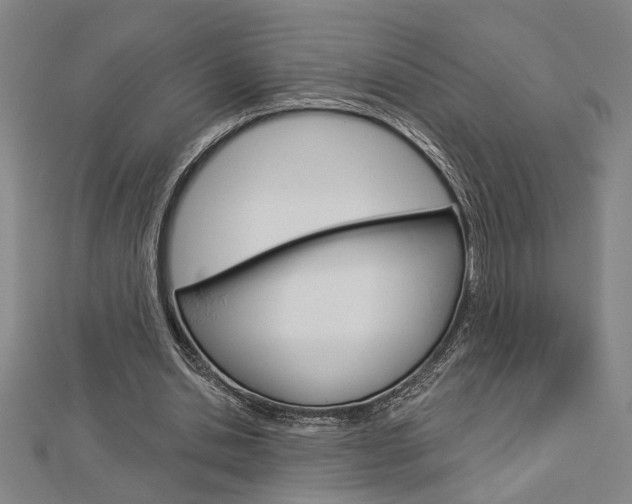 X0000112980438200908270922