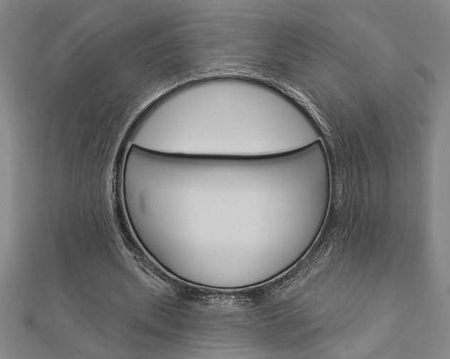 X0000112980439200908270922