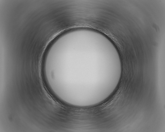 X0000112980440200908270922