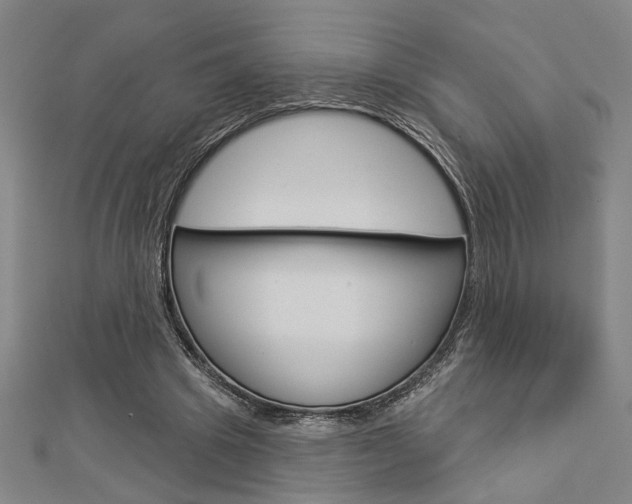 X0000112980441200908270922