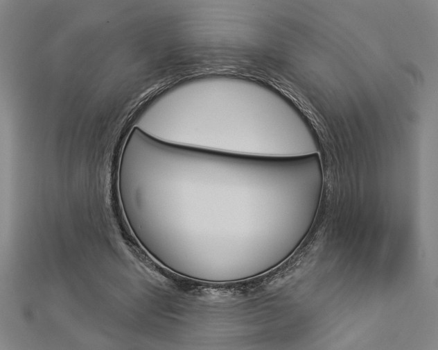 X0000112980442200908270922